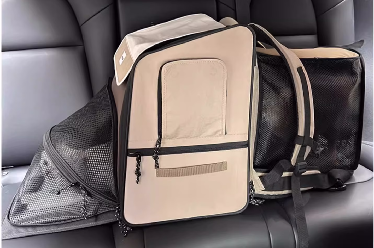 cat backpack