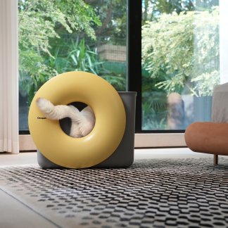 cat litter box