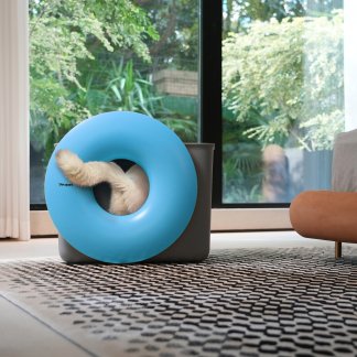 cat litter box